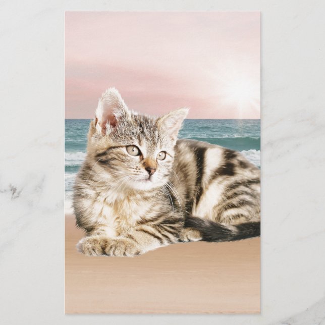 A Cuter Striped Cat Sitting on Beach with sunset Stationery (Front)