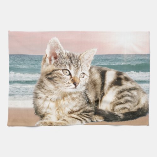 A Cuter Striped Cat Sitting on Beach with sunset Towel
