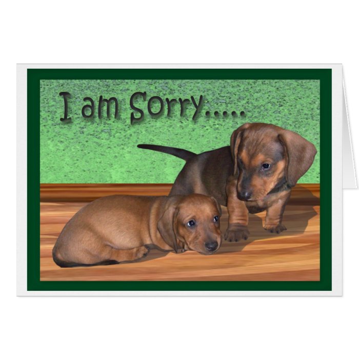 A dachshund puppy apology cards