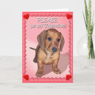 A Dachshund Puppy's Wish for Valentines Day Holiday Card