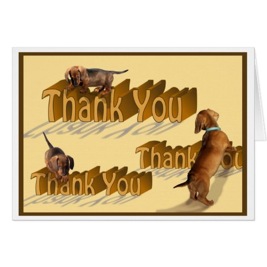 A Dachshund Thank You Card | Zazzle.com