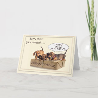 A Dachsund Birthday Card