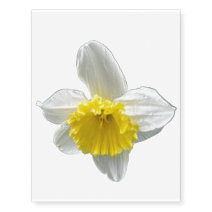A Daffodil Temporary Tattoos