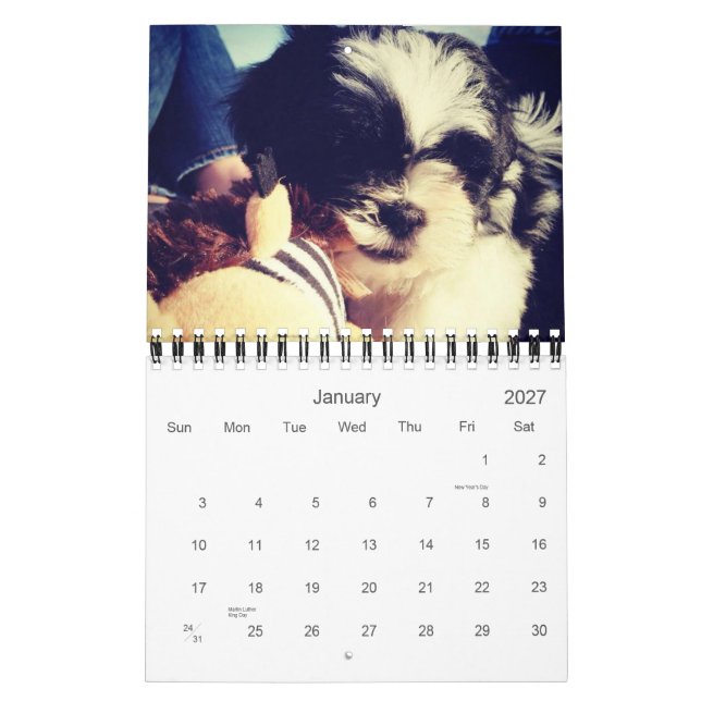 A Daily Dose of Panda Calendar (Jan 2027)