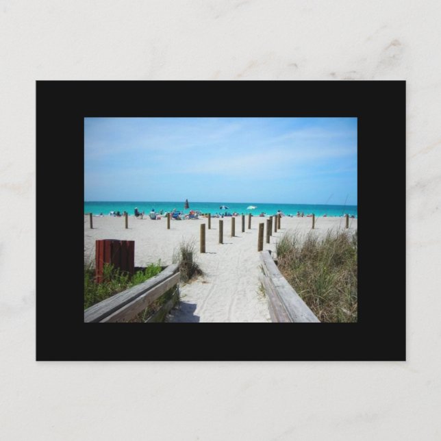 A Day at the Beach! Postcard (Front)