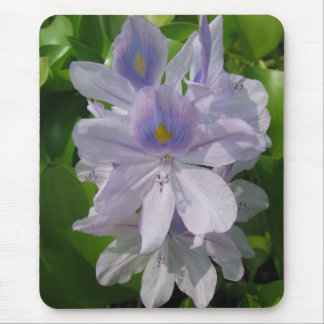 A Day at the Pond Series Mouse Pad