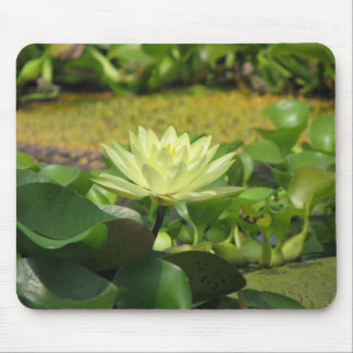 A Day at the Pond Series Mouse Pad