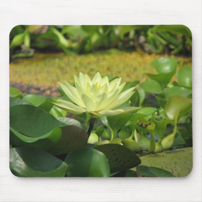 A Day at the Pond Series Mouse Pad (Front)