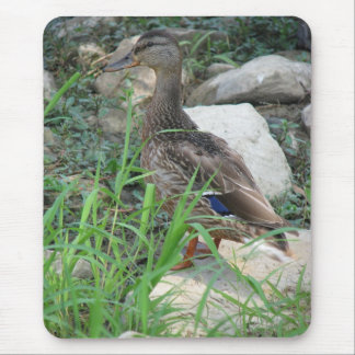 A Day at the Pond Series Mouse Pad