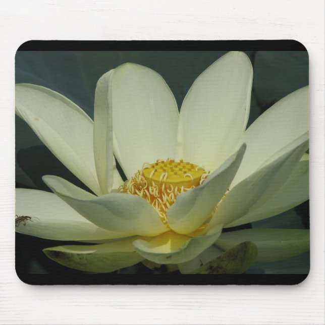 A Day at the Pond Series Mouse Pad (Front)
