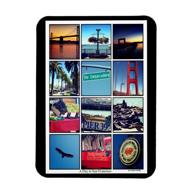 A Day in San Francisco  Magnet (Vertical)