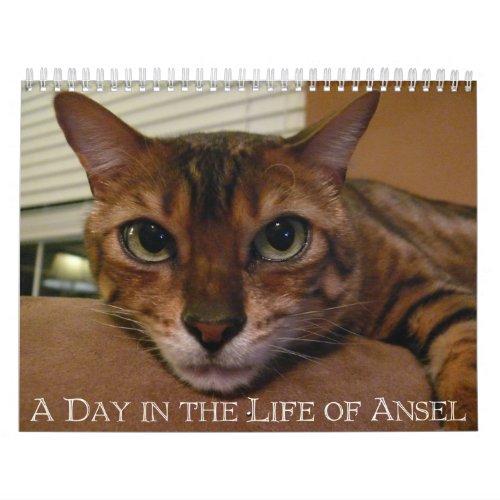 A Day in the Life of Ansel Calendar _ 18 month