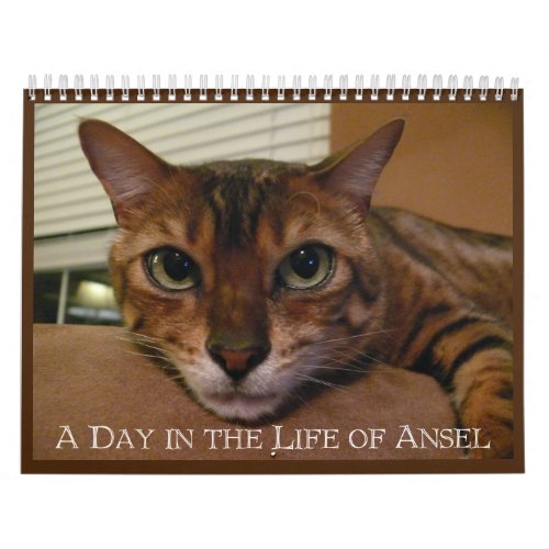 A Day in the Life of Ansel Calendar _ 21 month