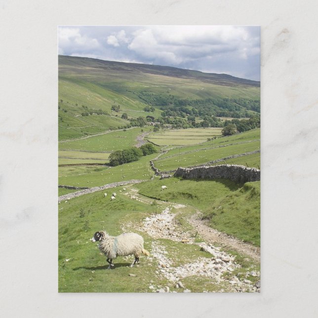 A Day in the Yorkshire Dales collection Postcard (Front)