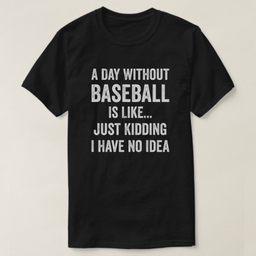 A Day Without Baseball Is Like Baseball Lover T_Shirt