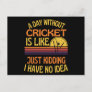 A Day Without Cricket Funny Cricket Lover Postcard