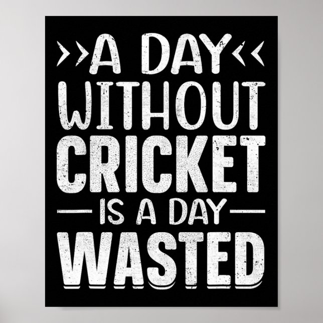 A Day Without Cricket Funny Cricket Player Cricket Poster (Front)