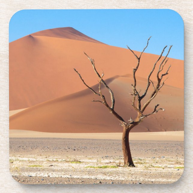 A dead tree on a desert plain with dunes drink coaster (Front)