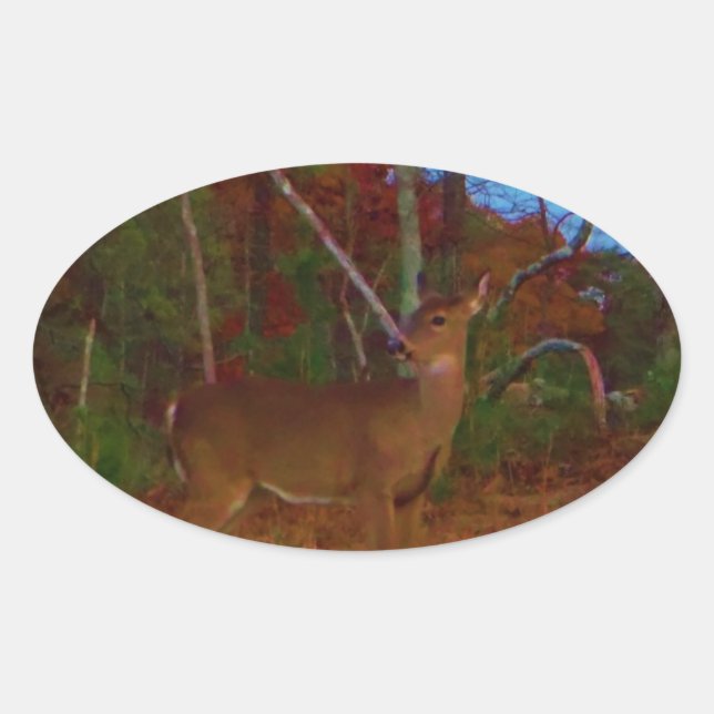 A Deer: Gold Red Green and Blue Oval Sticker (Front)