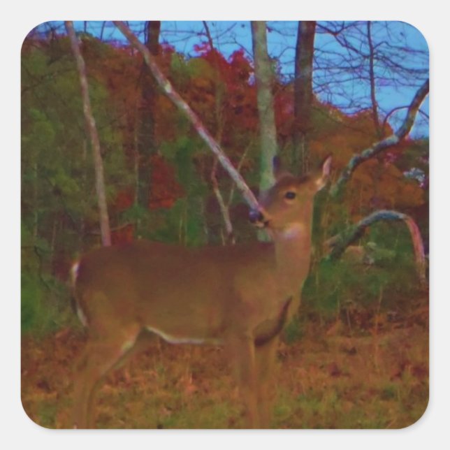 A Deer: Gold Red Green and Blue Square Sticker (Front)