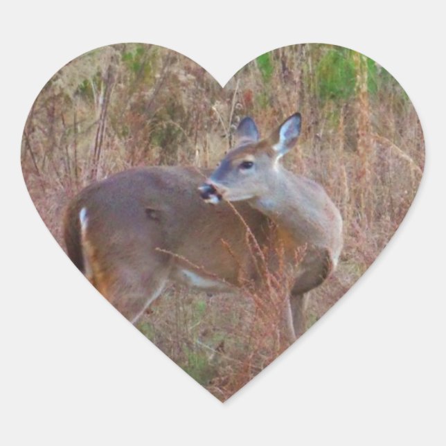 A Deer in the Tall Grass Heart Sticker (Front)