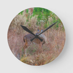 A Deer in the Tall Grass Round Clock
