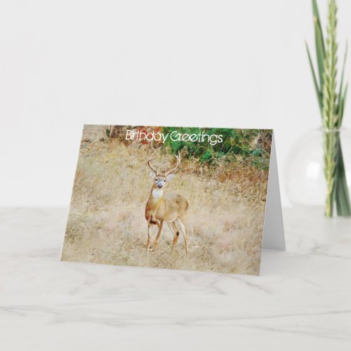 A Deer Lover or Hunter Birthday Card