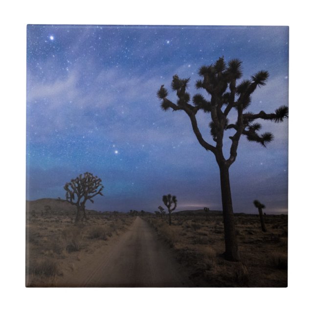 A Desert Road and Joshua Trees at Night Ceramic Tile (Front)