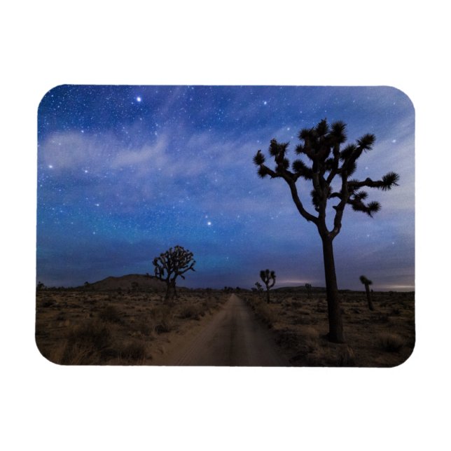 A Desert Road and Joshua Trees at Night Magnet (Horizontal)