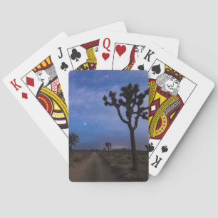 A Desert Road and Joshua Trees at Night Poker Cards