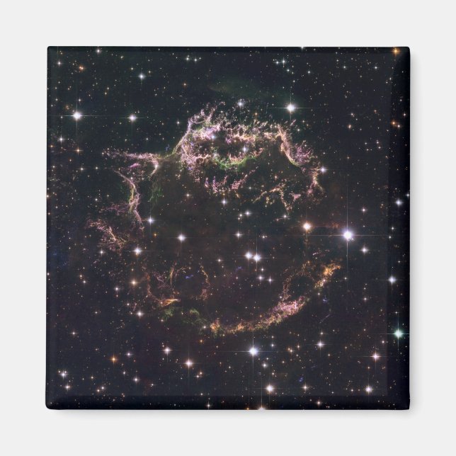 A detailed view at the tattered remains magnet (Front)