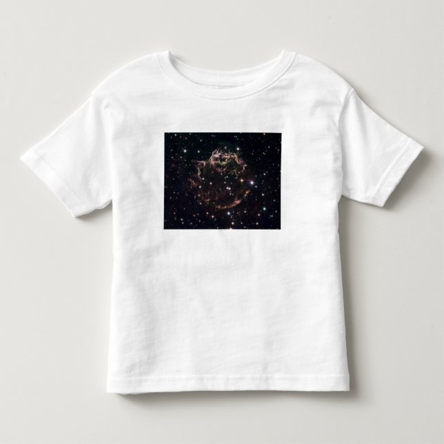 A detailed view at the tattered remains toddler t-shirt (Front)