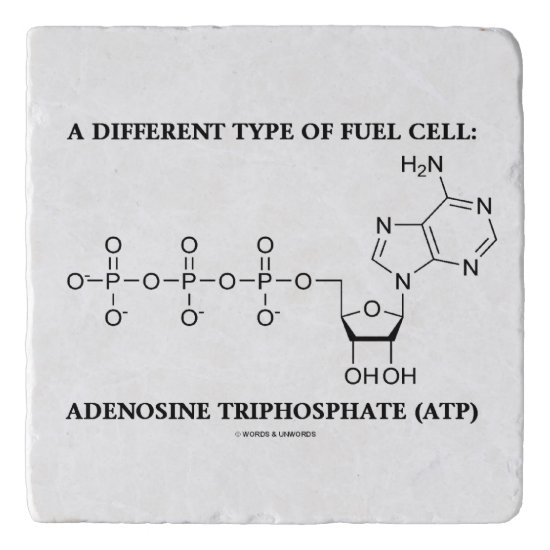 A Different Type Of Fuel Cell ATP Chemistry Trivet