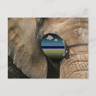 A Disconcerting Little Tune (TM) Postcard