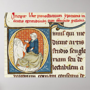 A Doctor Diagnosing a Patient Poster