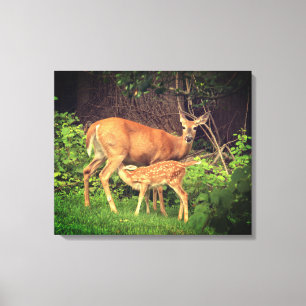 A doe and her fawn canvas print
