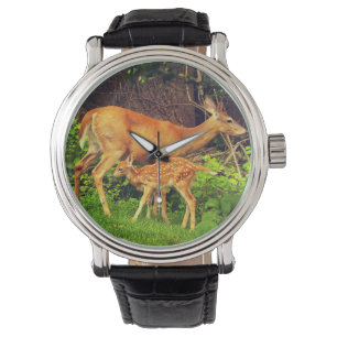 A doe and her fawn watch