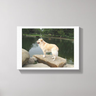 A Dog At A Pond Canvas Print