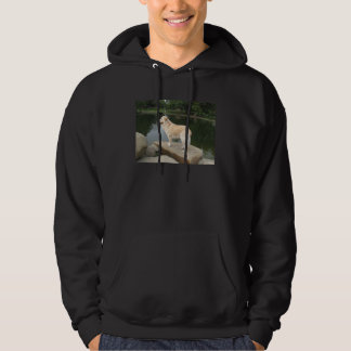 A Dog At A Pond Hoodie