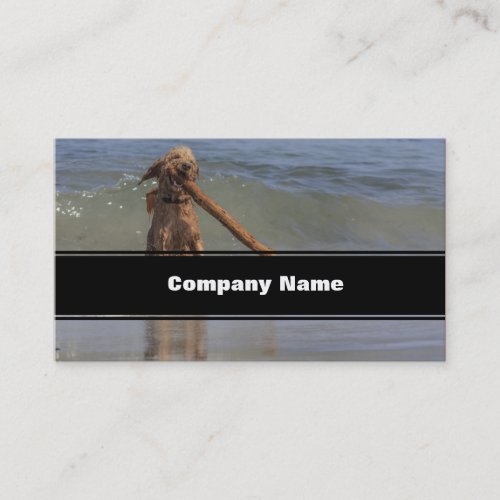 A Dog Day Afternoon Business Card Templates