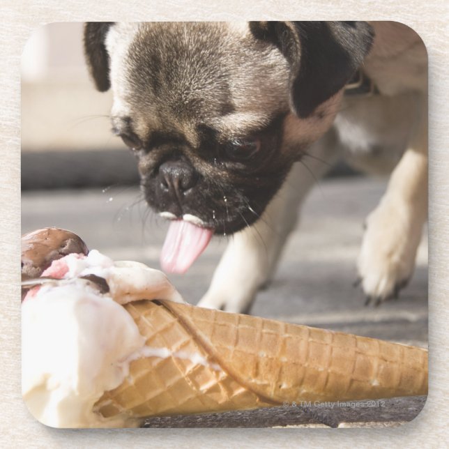 A dog eating an ice cream from a pavement beverage coaster (Front)