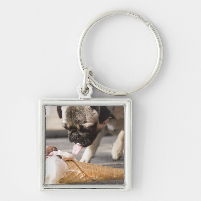 A dog eating an ice cream from a pavement keychain (Front)