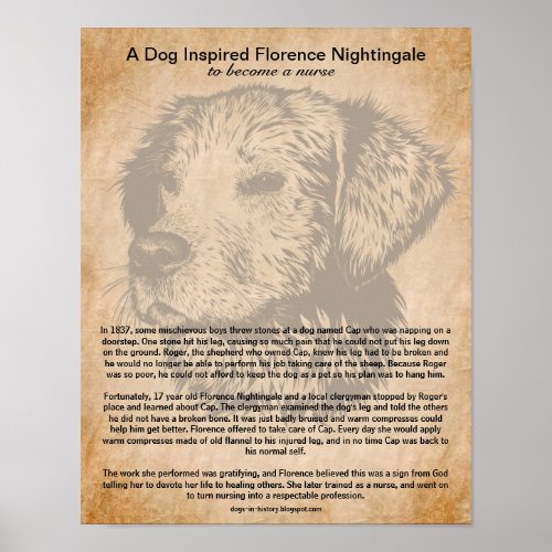 A Dog Inspired Florence Nightingale to Be a Nurse Poster