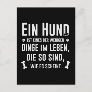 A dog is a low saying with paws postcard
