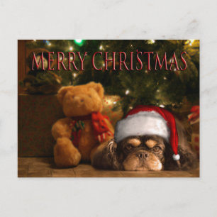 A Dog Is For Life Not Just For Christmas Holiday Postcard