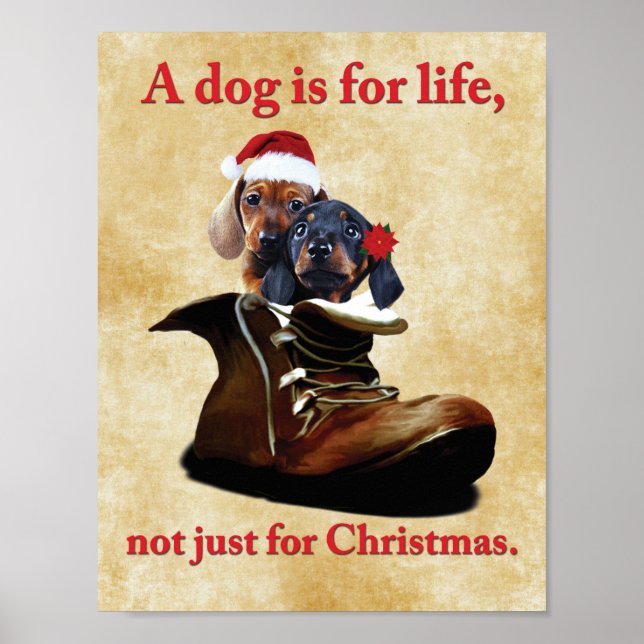 "A dog is for life, not just for Christmas" poster (Front)