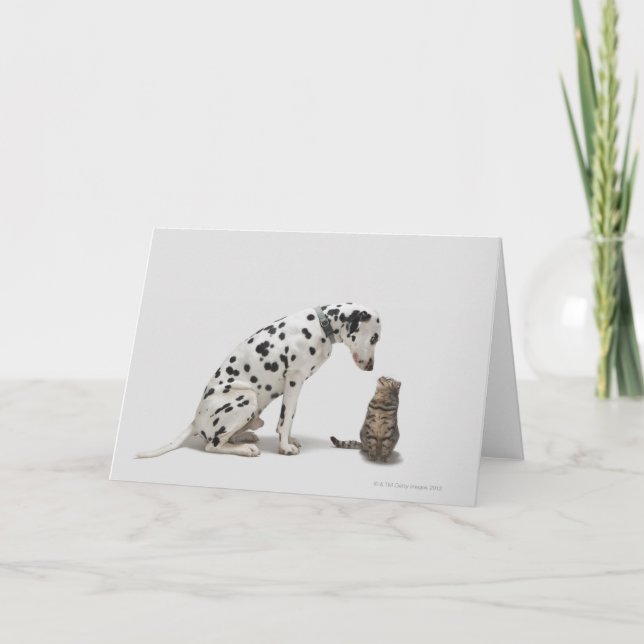 A dog looking at a cat card (Front)