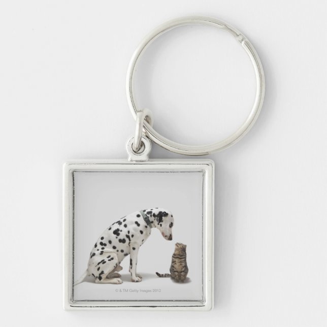 A dog looking at a cat keychain (Front)