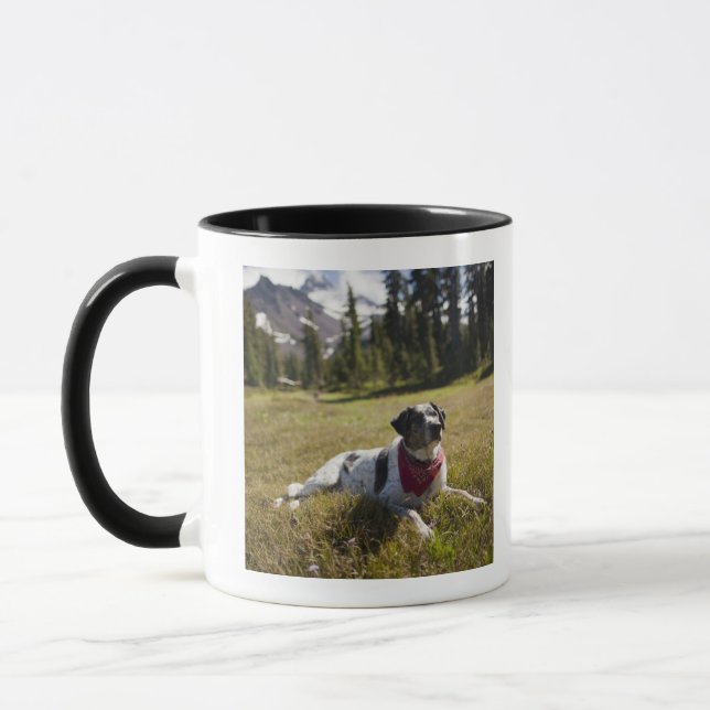 A dog rests after hiking to Jefferson Park in Mug (Left)