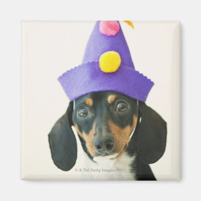 A dog wearing a funny hat magnet (Front)